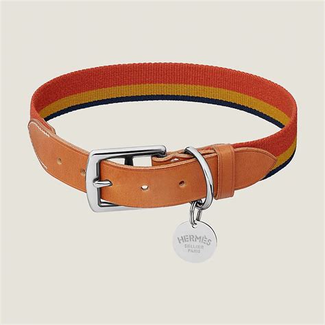 hermes dog collars 2024.